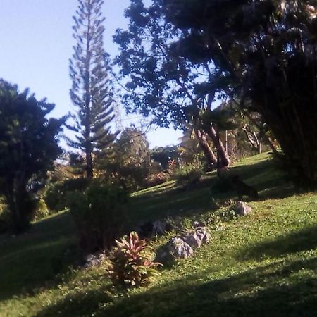 Shotover Gardens Estate Port Antonio Esterno foto