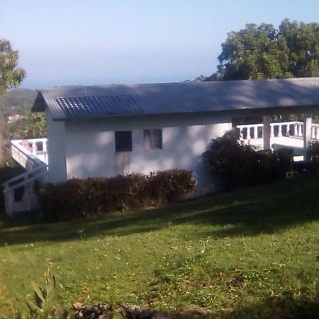 Shotover Gardens Estate Port Antonio Esterno foto