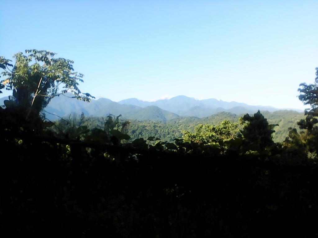 Shotover Gardens Estate Port Antonio Esterno foto