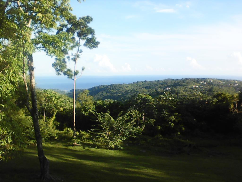 Shotover Gardens Estate Port Antonio Esterno foto