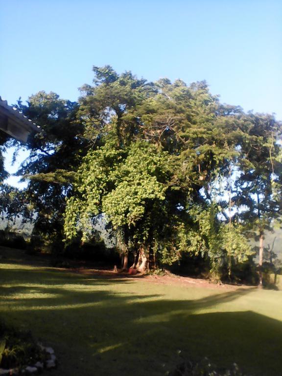 Shotover Gardens Estate Port Antonio Esterno foto