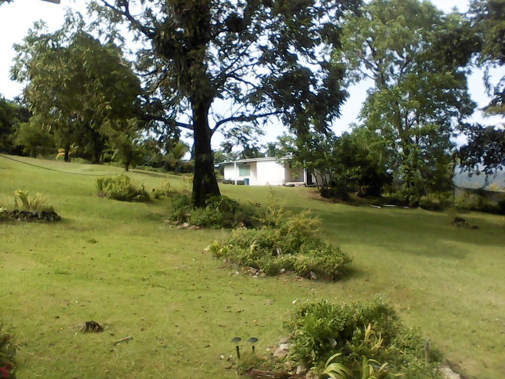Shotover Gardens Estate Port Antonio Esterno foto