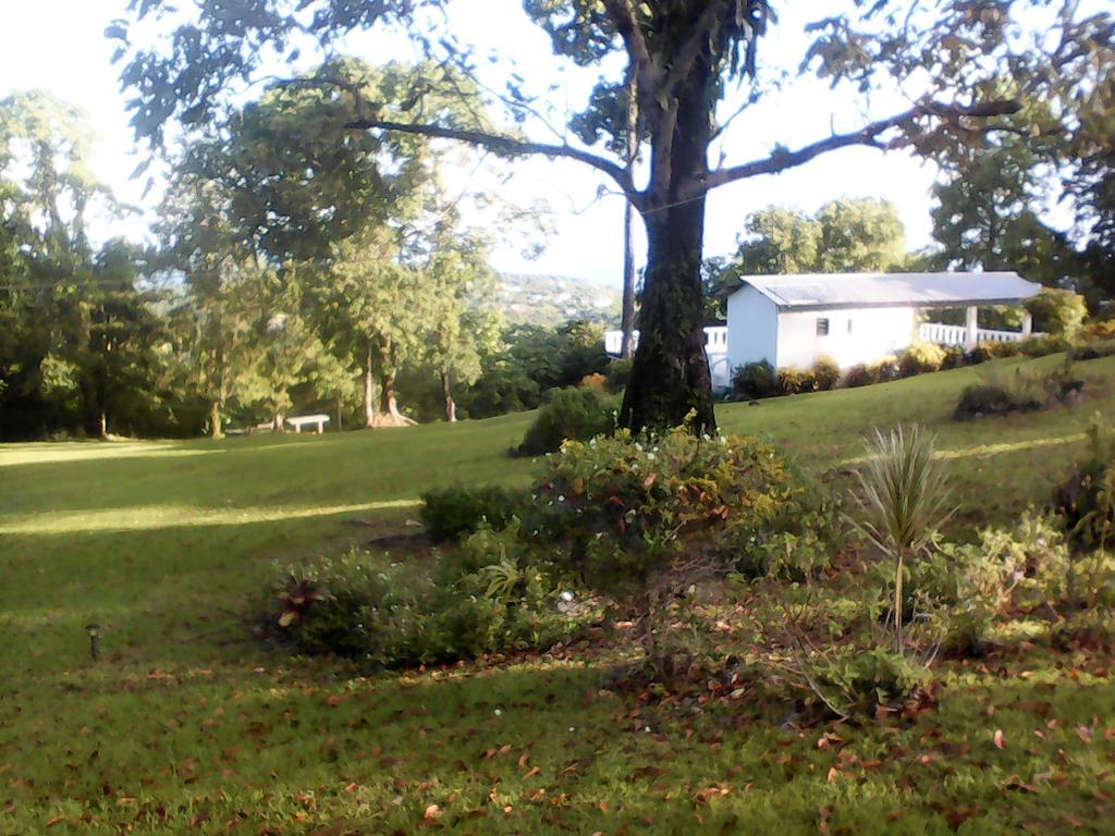 Shotover Gardens Estate Port Antonio Esterno foto