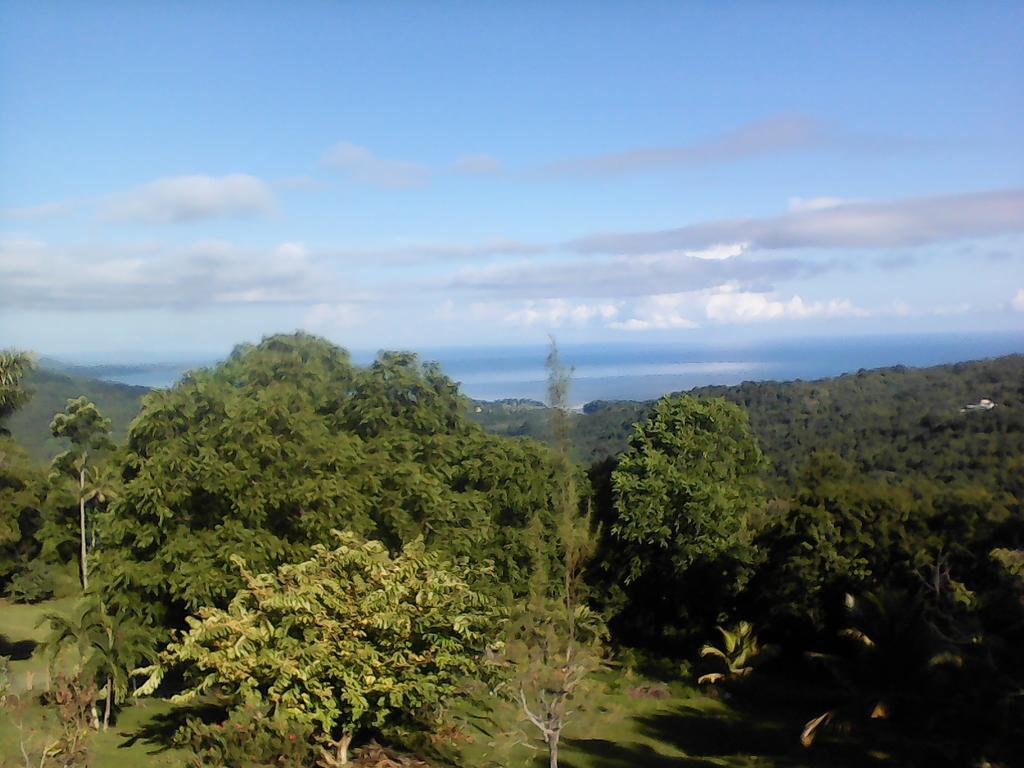 Shotover Gardens Estate Port Antonio Esterno foto