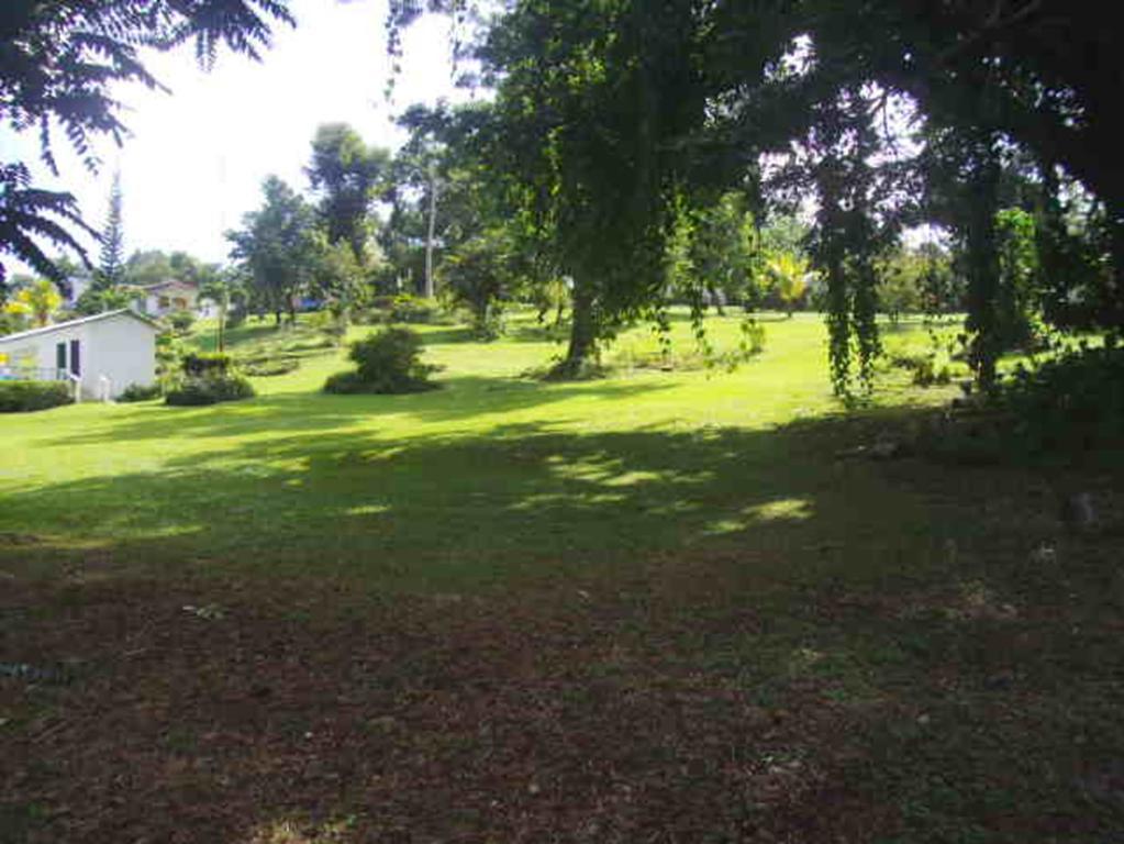 Shotover Gardens Estate Port Antonio Esterno foto