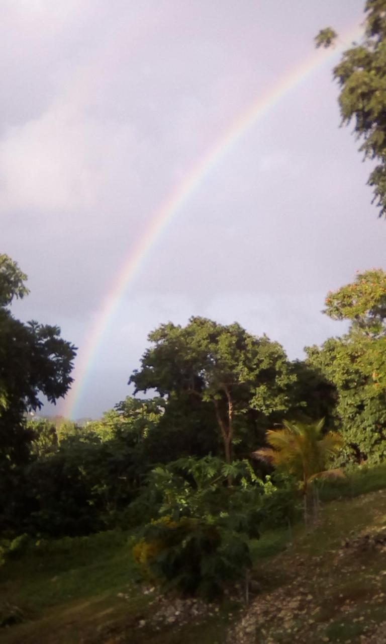 Shotover Gardens Estate Port Antonio Esterno foto
