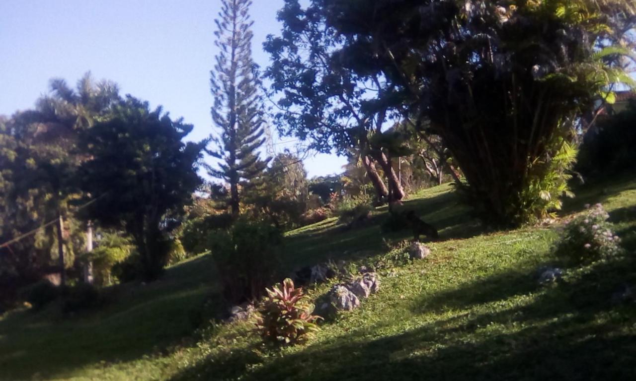 Shotover Gardens Estate Port Antonio Esterno foto