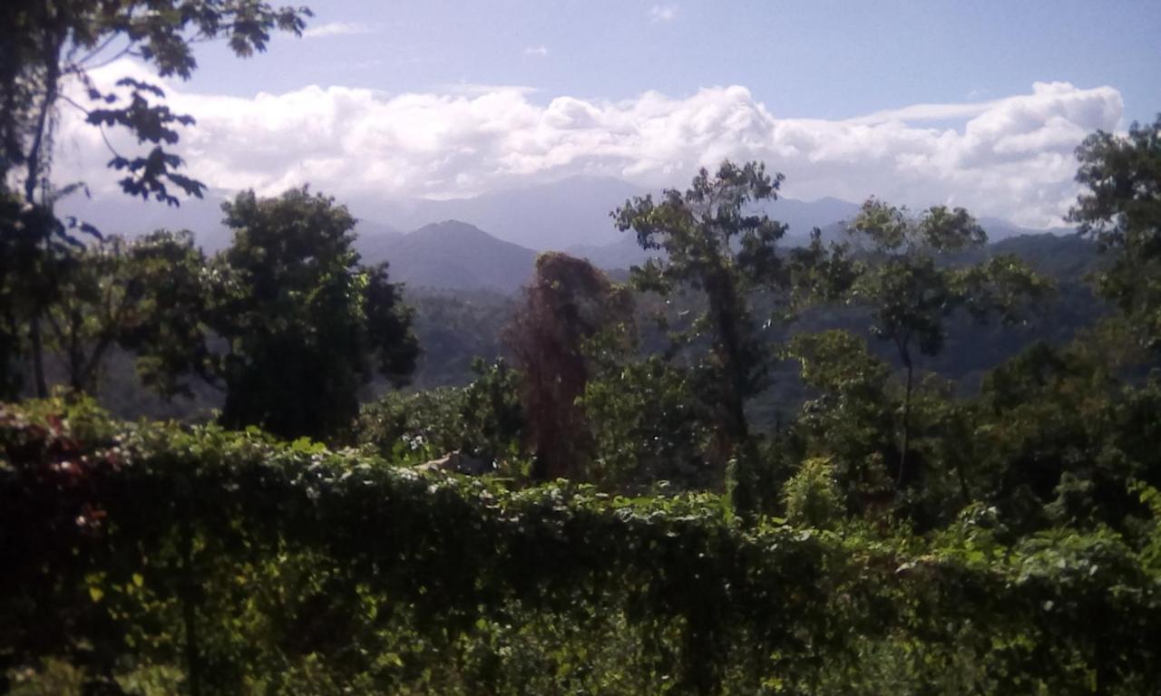 Shotover Gardens Estate Port Antonio Esterno foto