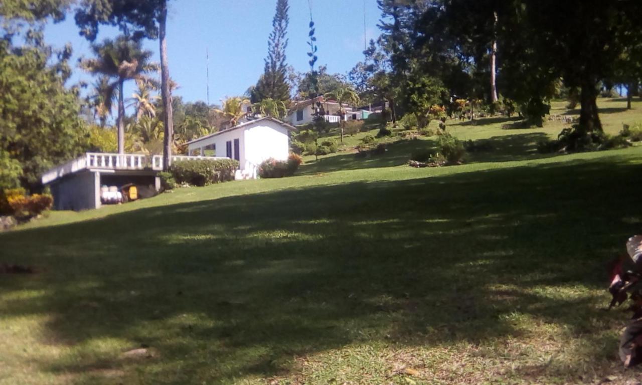 Shotover Gardens Estate Port Antonio Esterno foto