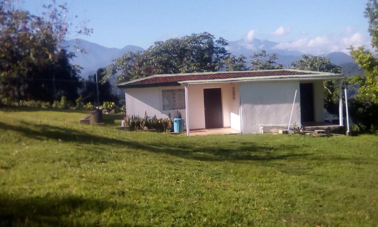 Shotover Gardens Estate Port Antonio Esterno foto