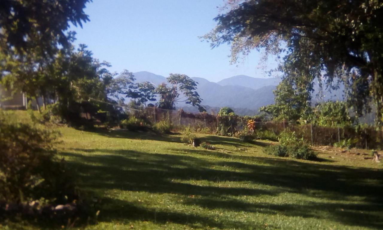 Shotover Gardens Estate Port Antonio Esterno foto