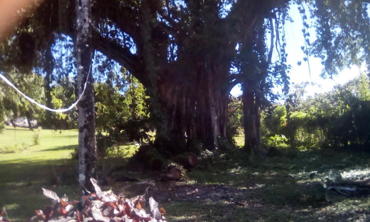 Shotover Gardens Estate Port Antonio Esterno foto