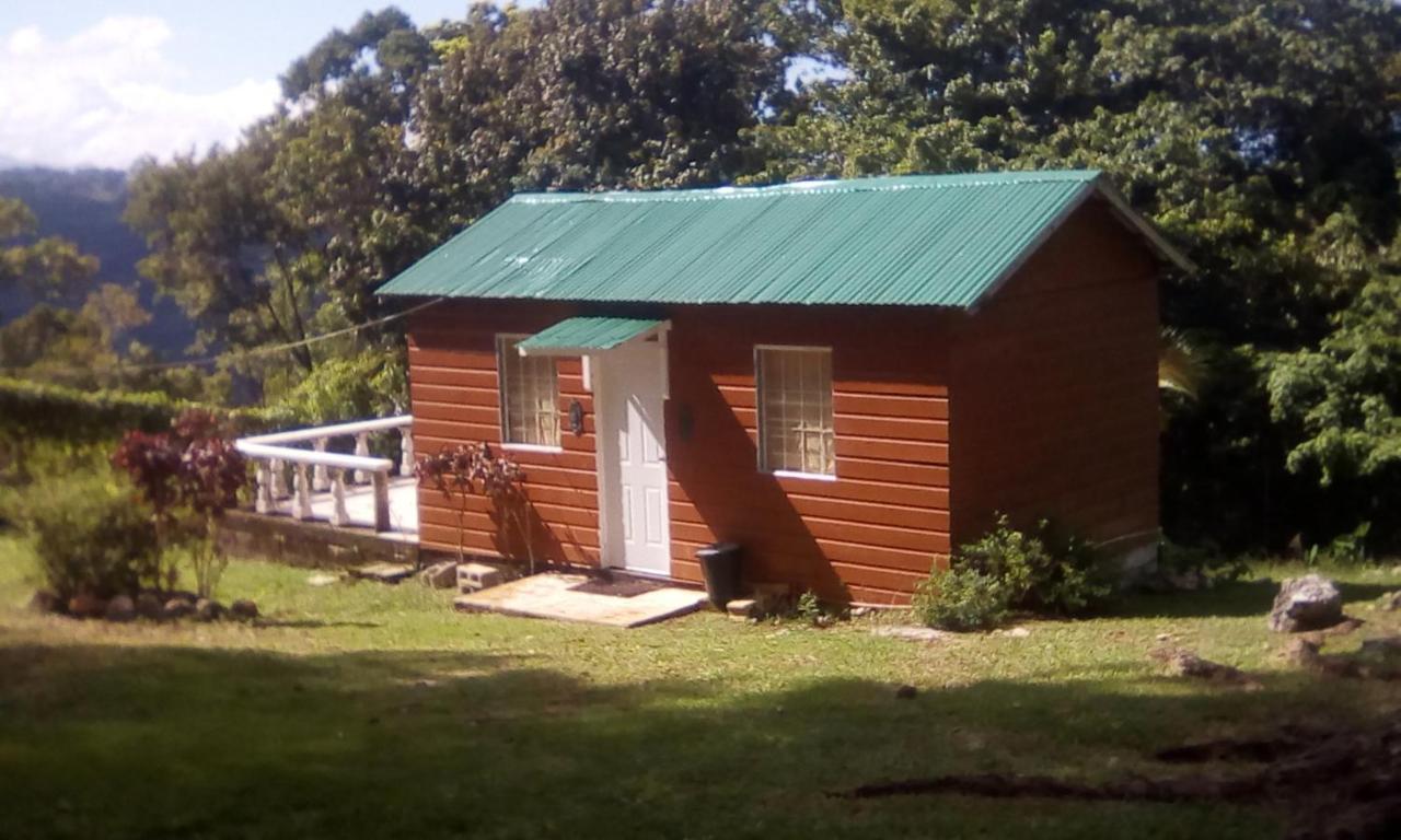 Shotover Gardens Estate Port Antonio Esterno foto